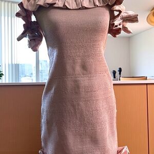 V. Chapman Strapless Ruffled Dress in Tan light pink